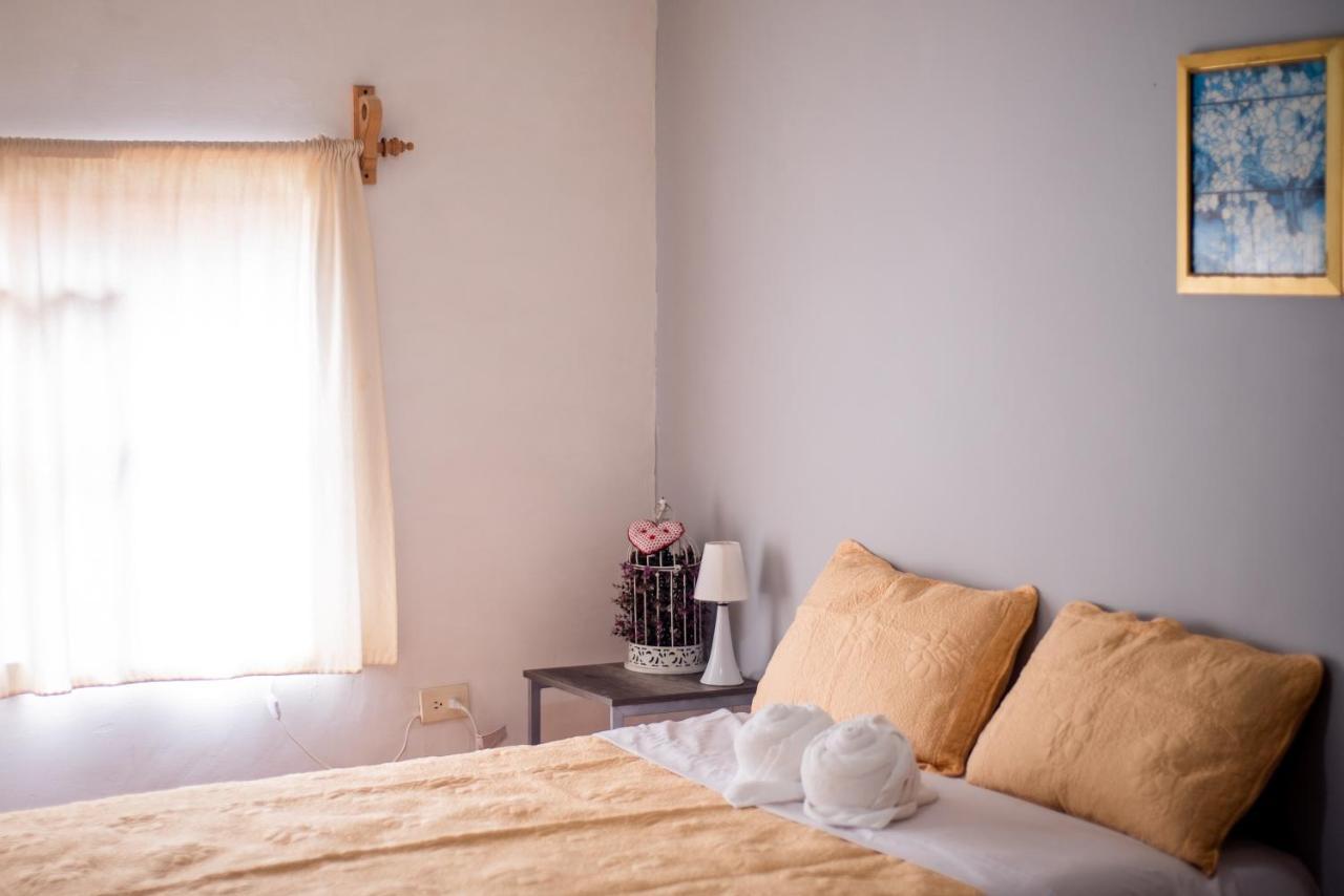 הוילה סאן מיגל דה אלנדה Casa Loreto #86 מראה חיצוני תמונה